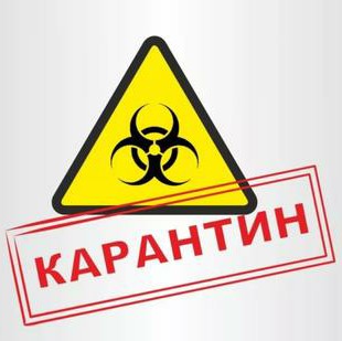 Как пережить карантин 2