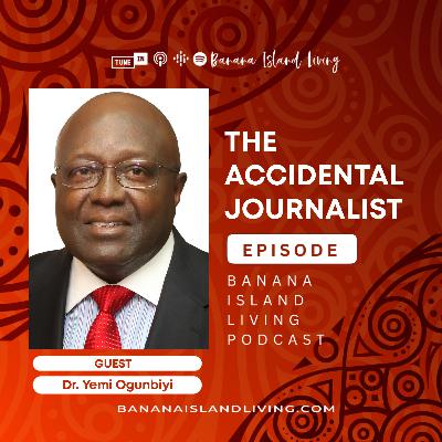 The Accidental Journalist