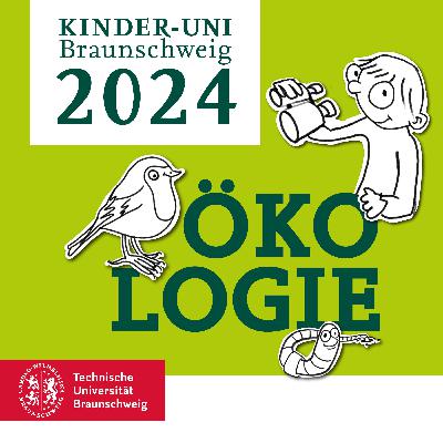 Wie schadet Müll der Natur?
