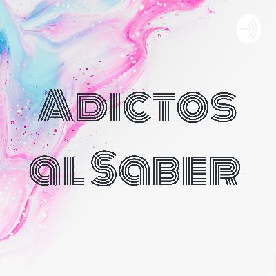 Diversidad de arañas