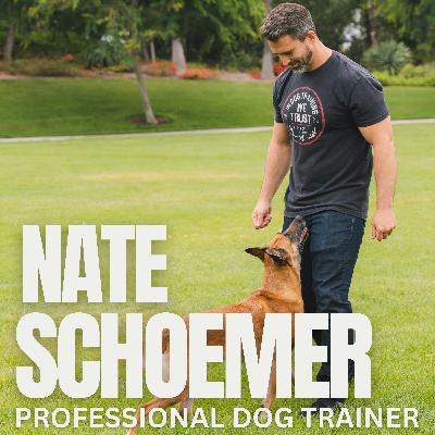 Ep. 24 - Live Q&A: Understanding Shaping in Dog Training