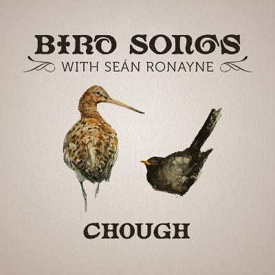 Chough | Bird Songs with Seán Ronayne Chough | Bird Songs with Seán Ronayne
