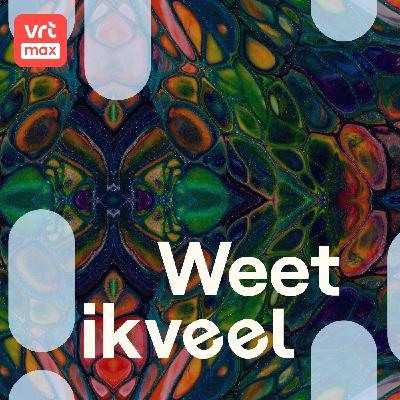 Psychedelische therapie