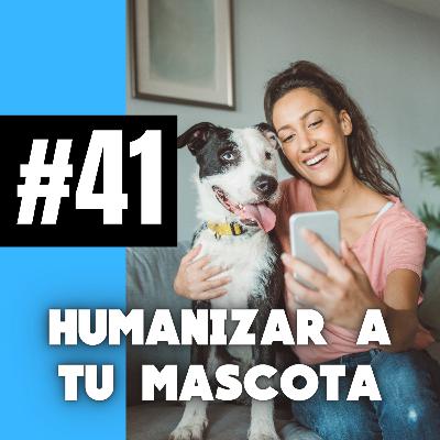 MASCOTAS CONSENTIDAS (Humanización)