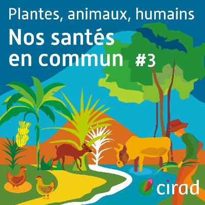 [Nourrir le Vivant] - Un sol vivant