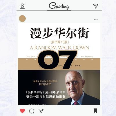 《漫步华尔街》第七章深度解析：一场没有终点的思辨