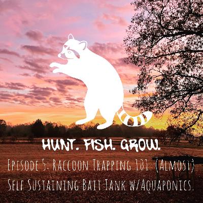 Raccoon Trapping 101 and Building Bait Tanks That Help You Grow