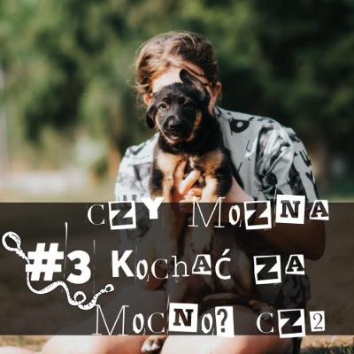 #3: Czy można kochać za mocno? Rozmowa z Joanną Wrześniowską o patologicznym przywiązaniu do psów (cz. 2)