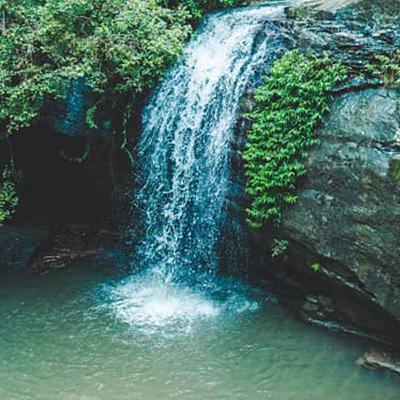 Buderim Falls 8hrs🌳|Powerful Waterfall🌊| Rainforest Sounds🐦| Nature sounds for sleep/meditation🌑
