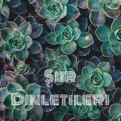 Ünlü Şairlerin Şiirleri Mix Seslendirme #1