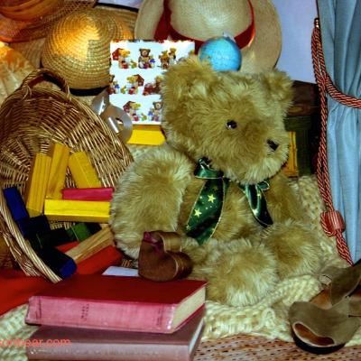 Safe Inside Old Bear. A Humm about how we all need to feel Home
