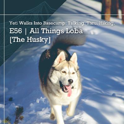 E56 | Hiking With Loba [The Husky] & Going Over A Waterfall