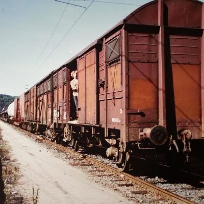 Im Viehwagen durch Frankreich. Ende gut, alles gut! Im Viehwagen durch Frankreich. Ende gut, alles gut!
