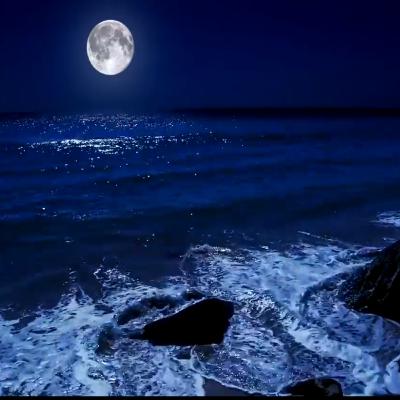 PUEDO ESCRIBIR LOS VERSOS MAS TRISTES ESTA NOCHE - Pablo Neruda