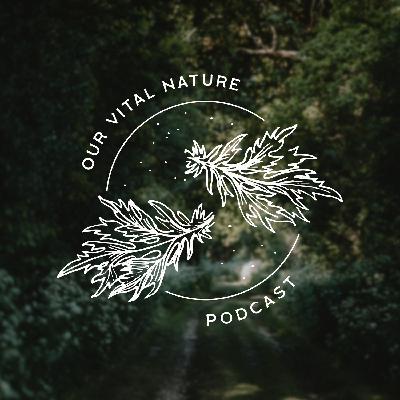 Our Vital Nature Ep. 3: Practicing Plant Magic with Amanda Midkiff