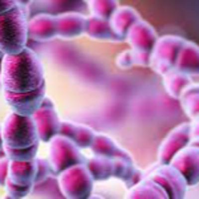 BBC interview 12/12/2022 - Group A strep infection, antibiotics shortages and role of flu vaccines BBC interview 12/12/2022 - Group A strep infection, antibiotics shortages and role of flu vaccines