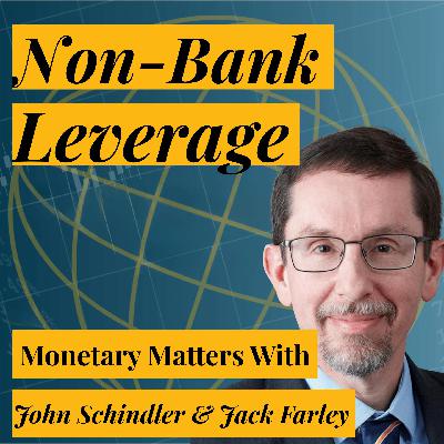 Non-Bank Leverage & Financial Stability | Financial Stability Board General Secretary John Schindler