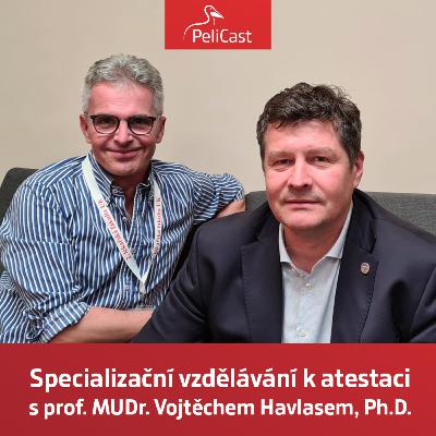 Vojtěch Havlas: Specializační vzdělávání k atestaci