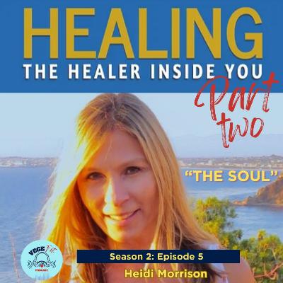 The Soul: Healing the Healer Inside You Part 2