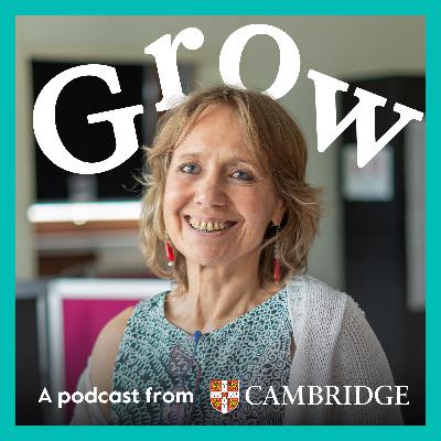 Creating intercultural understanding with Csilla Ducrocq - Episode 17 Creating intercultural understanding with Csilla Ducrocq - Episode 17