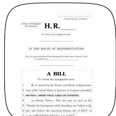 Immigration Hour Podcast. The Dignity Act.  What Is It?