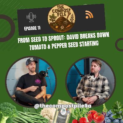 From Seed to Sprout: David Breaks Down Tomato & Pepper Seed Starting