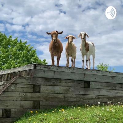 WindReach Farm (Trailer)