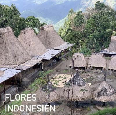 Unsere Abenteuer auf Flores