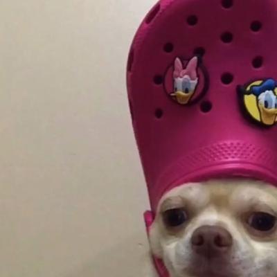 Nutrition and the Digestive System