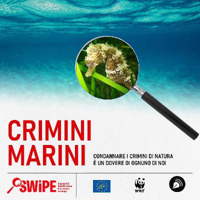 CRIMINI MARINI
