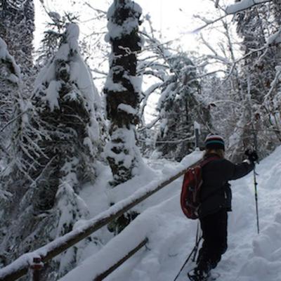 Winterwandern mit Kindern in Tirol Winterwandern mit Kindern in Tirol