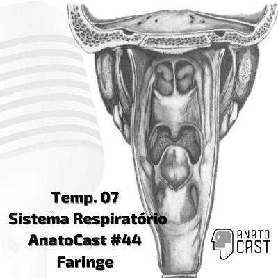 AnatoCast #44 - Faringe - Sistema Respiratório AnatoCast #44 - Faringe - Sistema Respiratório