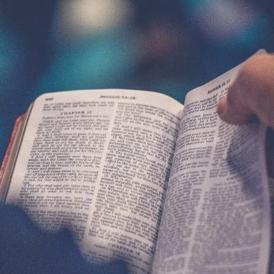 La dicha de obedecer la Palabra de Dios 📖
