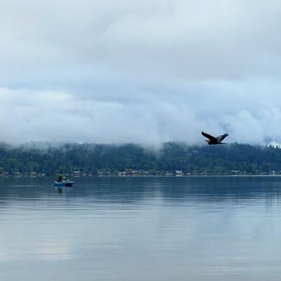 Lake Sammamish 横渡之泳者北北的故事 Lake Sammamish 横渡之泳者北北的故事