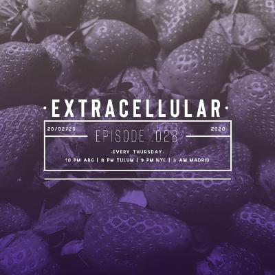 Extracellular / Episode 028 / 20-Feb-2020