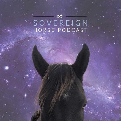 The Depth and Range of Co-Creation with Horses