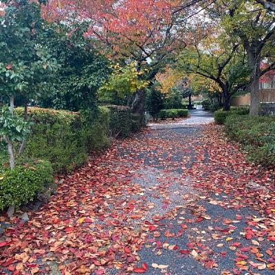 体からのお知らせ🩵