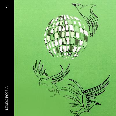 004 — discoteca selvagem