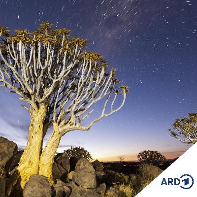 Wie entstand die Welt? Schöpfungsmythen in Afrika