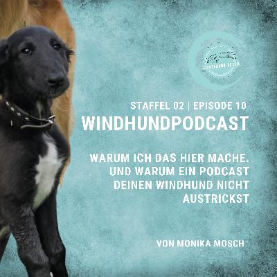 Warum ich das hier mache. Und warum ein Podcast Deinen Windhund nicht austrickst.