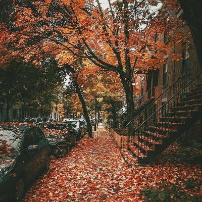 پاییزِ چهرازی...