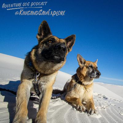 Stephen and King & Sam @KingandSamExplore