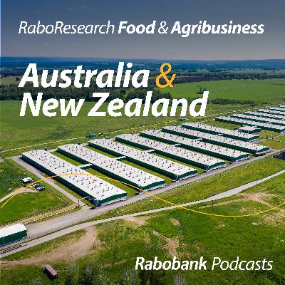 Refocusing China's pork industry