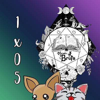 1x05 Programa Especial: ¡Malas Pulgas para todos! (Parte II)