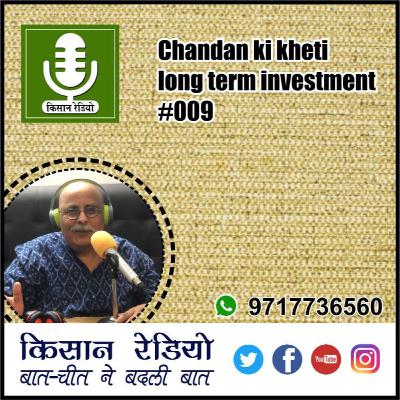 Chandan ki kheti long term investment