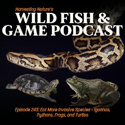 Episode 245: Eat More Invasive Species - Iguanas, Pythons, Frogs, and Turtles