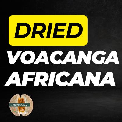 Voacanga Africana - A Guide to Its Uses