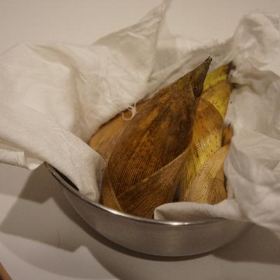 #63 ごはんで心が動くのってどんな時？好きなごはんからたどる、わたしたちの食のルーツ