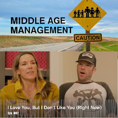 I Love You, But I Don't LIke You (Right Now)