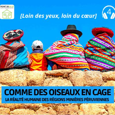 Comme des oiseaux en cage